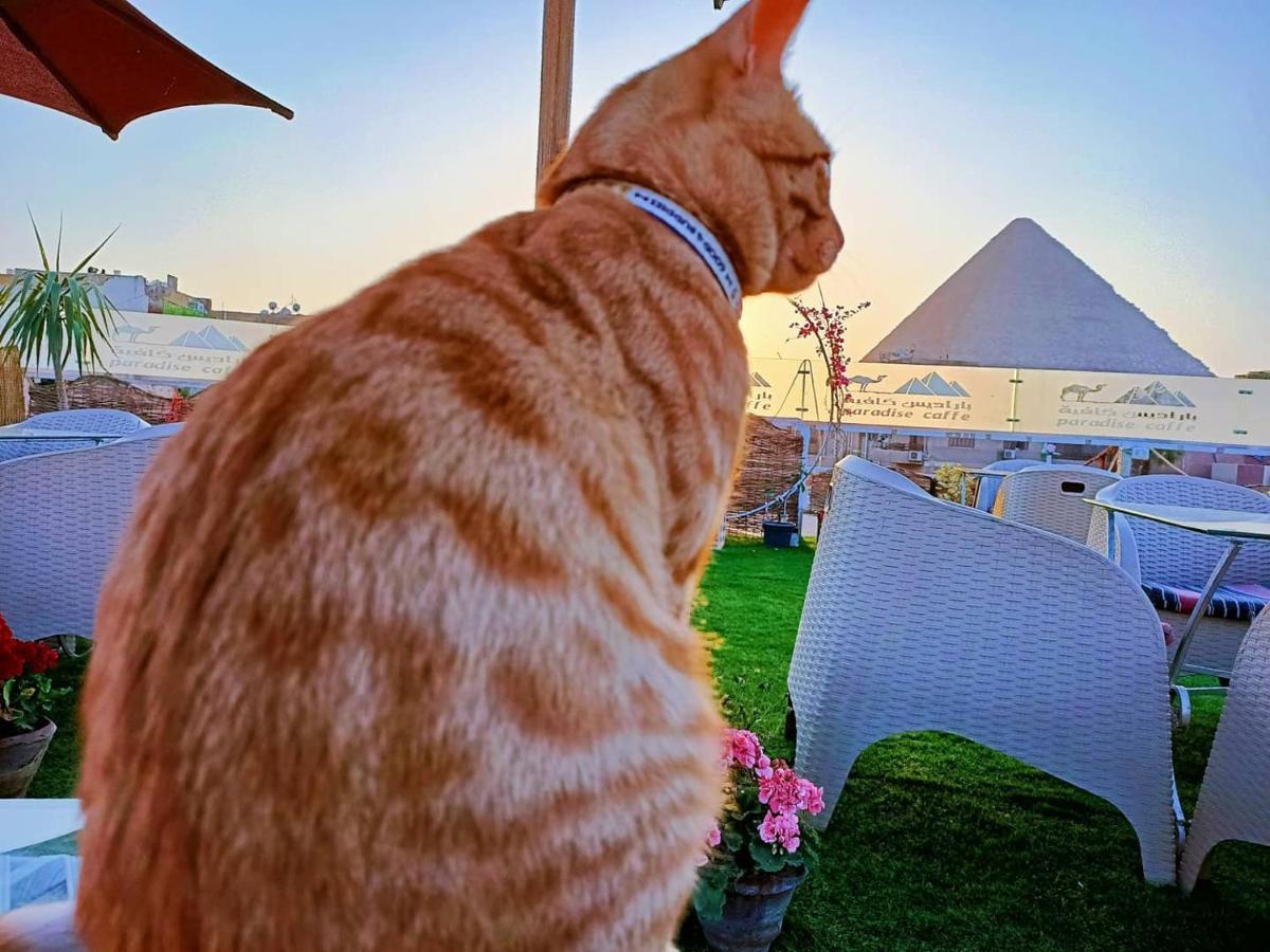 Hotel Carpet Alaadein Pyramids View Kafret el-Gabal Esterno foto